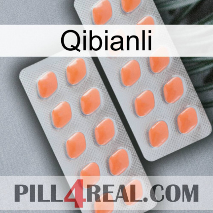 Qibianli 27